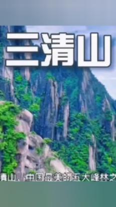 金普清风|魏成明:不为成名,诚挚为民